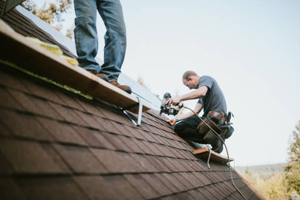Gutter Installation and Roofing in Waynesboro, TN